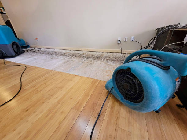 Professional Water Damage Repair technician working in Cape Neddick, ME